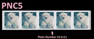 US 4389 Polar Bear 28c PNC5 V11111 MNH 2009 - Picture 1 of 1