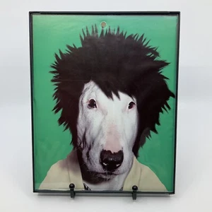 Haustiere Rock Sid Vicious Der Bullterrier gerahmter Kunstdruck - Bild 1 von 4