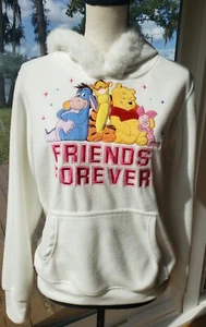 Disney Winnie The Pooh Friends Forever Cozy Fleece Sweater Hoodie Youth Size XL - Picture 1 of 13