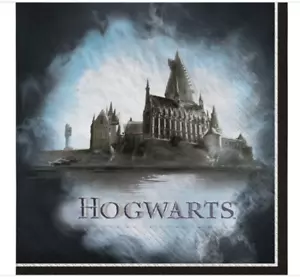 Hogwarts Harry Potter Wizarding World Kids Birthday 36 Luncheon Napkins - Picture 1 of 4