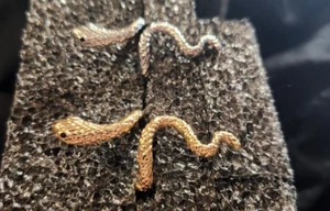 MIP - Juego de 2 piezas tono plata, tono dorado - gótico, emo damas anillo serpiente ajustable - Imagen 1 de 10