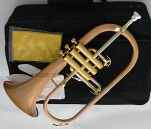 Professional Brushed Phosphor copper Flugelhorn Bb Flugel Horn With Case - Picture 1 of 4