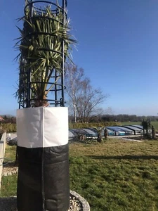 Verlängerung zu Premium-Winterschutz-System für Palmen, Hanfpalmen usw., 75 cm - Bild 1 von 1