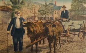 Postkarte 1940 Bergsteiger Schnellwagen Ochsen Zugkarte Asheville Karte PR - Bild 1 von 3