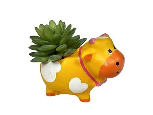 Resin Cow Shape Planter Pot with Drainage for Succulent Money Plant Bonsai - Picture 1 of 4