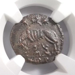 She-Wolf Twins Constantine NGC Ch XF Roman Empire Nummus Remus Epfig Hoard - Picture 1 of 12