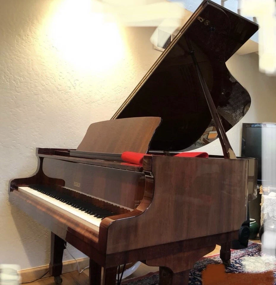 Petrof-IV usado Foto 1 de 1