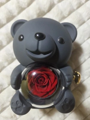 Peluche de oso rosa con rosa preservada, collar conjunto de regalo San Valentín, cumpleaños, amor Foto 1 de 4