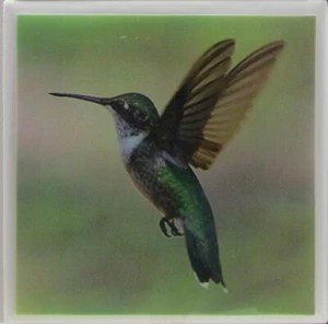 Posavasos de azulejos de cerámica - Colibríes - Juego de 1 (Compra 3 pies 1 gratis) 3B - Imagen 1 de 5
