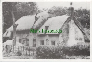 Occupations Postcard - Thatcher, Rural Working Life Ref.RR16332 - Picture 1 of 2
