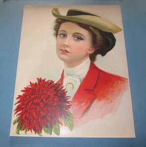 Old Vintage 1906 - Antique VICTORIAN PRINT - Lady - RED ASTER - FLOWER - Picture 1 of 1