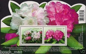 Canada Stamps — Souvenir Sheet — Flowers, Rhododendrons #2318 — MNH - Picture 1 of 1