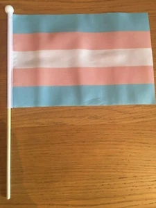 TRANSGENDER Pack of 12 medium Hand Flags 9" x 6" 22cm x 15cm FLAG - Picture 1 of 1
