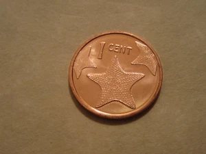 2015 Bahamas Coin  1 Cent  Starfish    uncirculated beauty  super coin - Picture 1 of 2