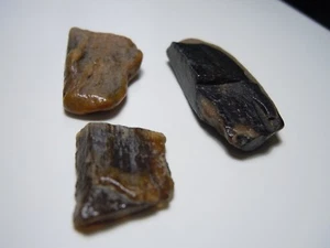 Good Wood Lot Of 3 Kansas Petrified Wood Agate Gem Fossil 51 Carats Total    - Picture 1 of 12