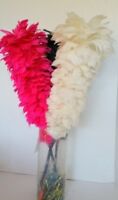 Catherine Lillywhite's Feather Dusters or Home Decor Craft Hot Pink White Black