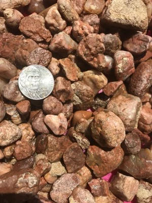 Аквариумный субстрат декоративные камни безопасные для рыб стерилизованные улитки бесплатно из США - Изображение 1 из 2