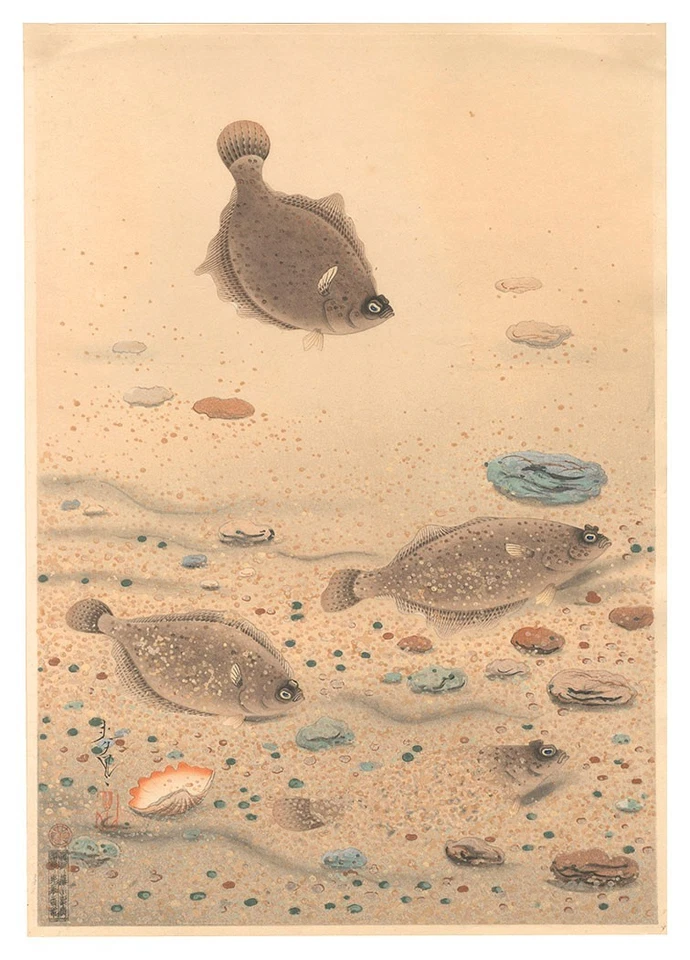 Impresión en madera Ono Bakufu Gran Colección de Peces Japoneses 11 peces planos autógrafo Foto 1 de 1