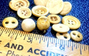 Lot of14 Early Antique Bone Buttons - Picture 1 of 5