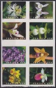 F-EX54876 USA US MNH 2020 ADHESIVE FOREVER FLOWER FLORES ORCHID ORQUIDEAS. - Picture 1 of 1