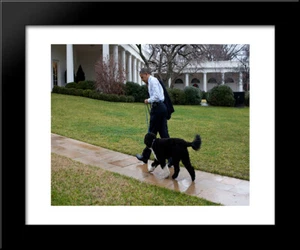 President Barack Obama, runs away from the family dog, Bo, during a brief break - Picture 1 of 1