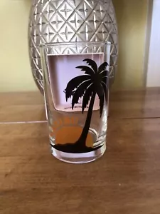 Vintage Malibu Glass The Sun Always Shine When It Pours Palm Glass - Picture 1 of 2