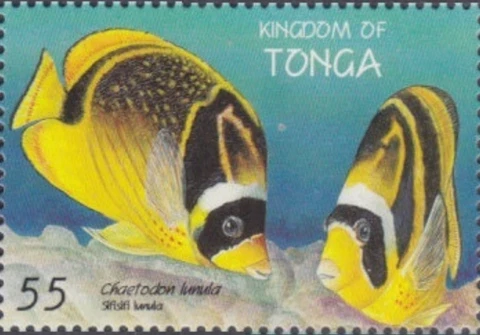 Tonga #SG1441 MNH 1998 Chaetodon lunula [1008b] Cover