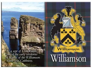 Williamson Scottish Clan Metallic Souvenir Picture Fridge Magnet Scottish Gift - Foto 1 di 2