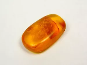 Baltic Amber Stone 3.5 grams Cognac Transparent Natural Polished Gemstone 1105 - Picture 1 of 12