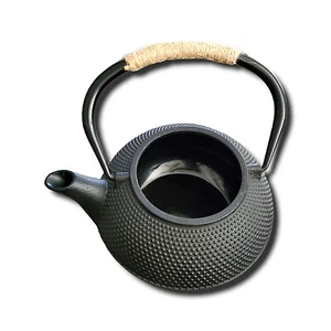 Cast Iron Kettle, Tetsubin Coated Black Japanese Tea Pot - Picture 1 of 6