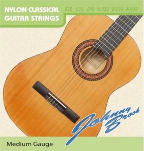 Johnny Brook Acoustic Guitar Strings - Set of 6 EV-G884H - Picture 1 of 2