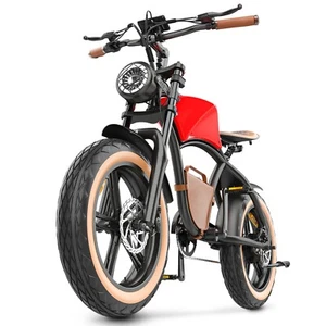 Hidoes B10 20" Fat Tire E-Bike E-Mountain Bike 100OW motor 48V 13Ah battery - Picture 1 of 23