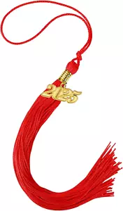 2025 Graduation Tassel, 1Pcs Graduation Cap Tassel 2025 Grad Graduation Tassel f - Picture 1 of 12