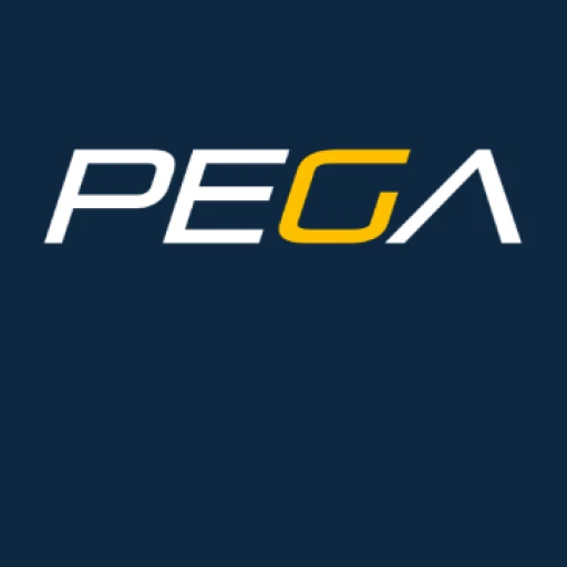 Ferrari 550 575 612 Clutch Rebuild with NEW PEGA FX4C-SC Organic Linings 194775 - Image 1 of 3