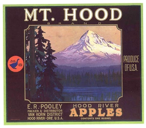 *Original* MT. HOOD River Oregon Volcano Snow BLUE GOOSE Apple Label NOT A COPY! - Picture 1 of 1