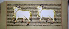 Indian Cow Animal Painting Miniature Amazing Animal Art On Sanskrit Script #5459