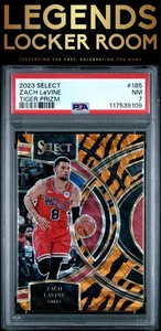 2023 Panini Select #185 Zach Lavine Tiger Prizm PSA 7 - Bild 1 von 2