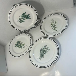 Williams Sonoma Herb Design Weiß Keramik Salat Dessert Teller 4er Set - Bild 1 von 6