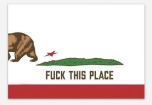 California State Flag Bumper Sticker Decal FUNNY HEAVY DUTY 5 pack LOT  - Picture 1 of 12