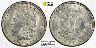 Dólar de plata Morgan 1901-O graduación profesional MS63 bien golpeado brillantes marcas de contacto mínimas Foto 1 de 4