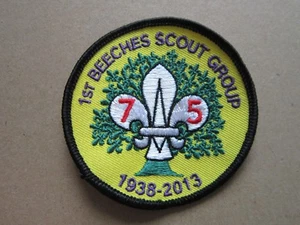 Beeches 75th Cloth Patch Badge Boy Scouts Scouting L5K I - Picture 1 of 2
