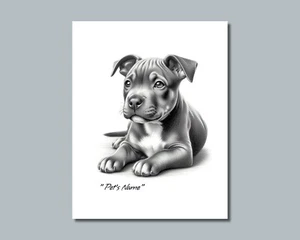 Personalized PIT BULL Puppy Pet Print Photo Picture YOUR DOG NAME 8x10 11x14 P8 - Picture 1 of 10