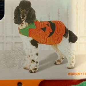Pet Dog Pumpkin Halloween Costume Medium Up To 40 lbs. Party Dress-up NEW Dress - Picture 1 of 9