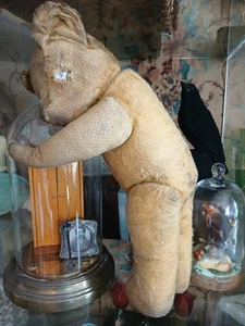 antique teddy bear NEEDS adopted cleaned and restored 18 inch - Picture 1 of 16