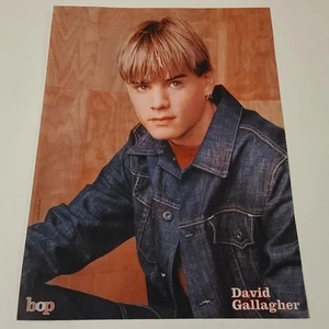 David Gallagher / Shia LaBeouf Pinup - Picture 1 of 2