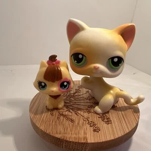 Littlest Pet Shop LPS MINI Kätzchen Kätzchen 3025 Sweeties & #73 Kitty weiß orange - Bild 1 von 11