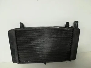 Radiator Aprilia RS 125 06 2006 2014 - Picture 1 of 3