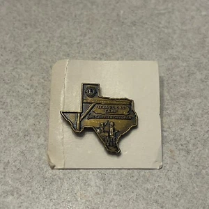 Vintage Lions Club Texas Lions Camp for Crippled Children Pin - Picture 1 of 2