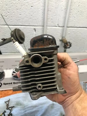 Recortadora de gas Troy-Bilt TB465SS Foto 1 de 4