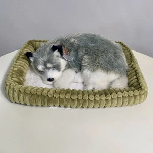 Perfect Petzzz Sleeping Husky Realistic Pet and Dog Bed - Not Working - Picture 1 of 7
